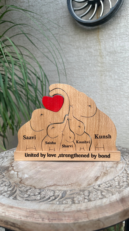 Elephant family of Five