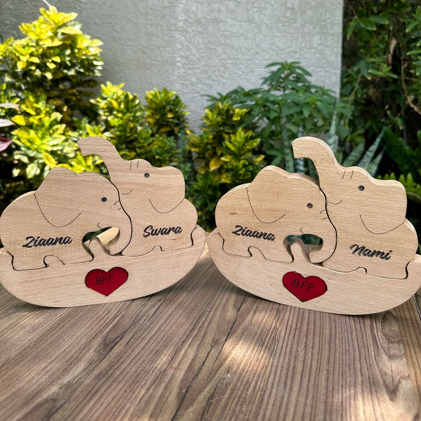 Elephant family of Two